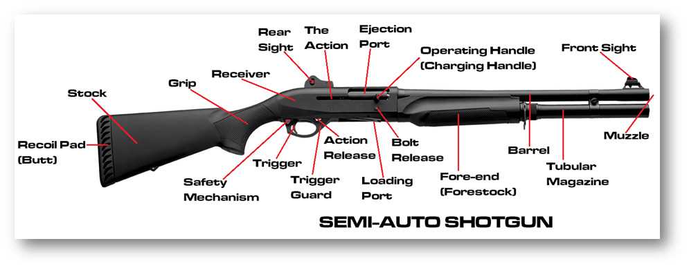 side by side shotgun parts diagram