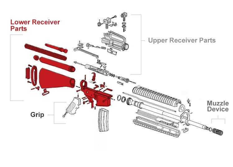 parts of a shotgun diagram