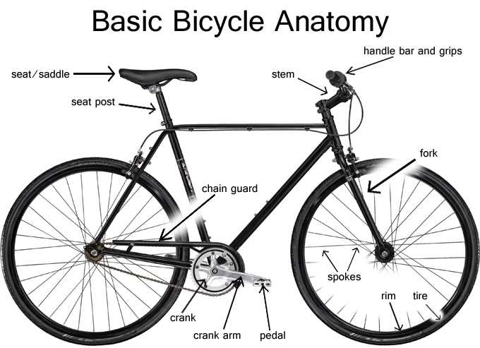 road bike parts diagram