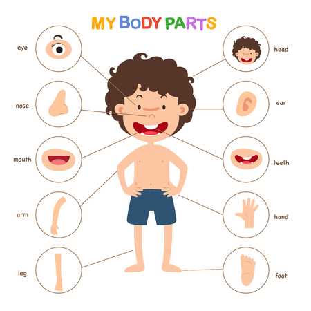 parts of body with diagram