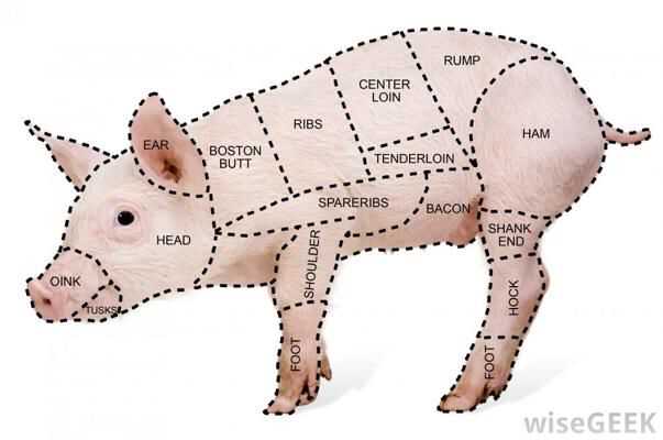 pork meat parts diagram