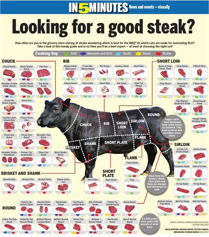 steak parts of cow diagram