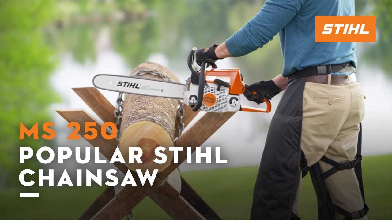 stihl ms 250 chainsaw parts diagram