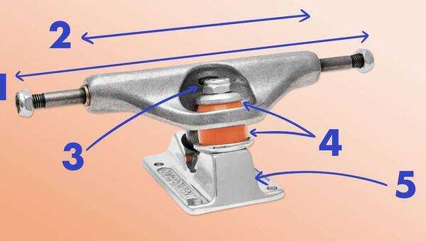 skateboard truck parts diagram