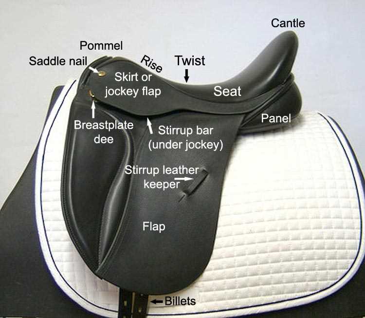 saddle parts diagram