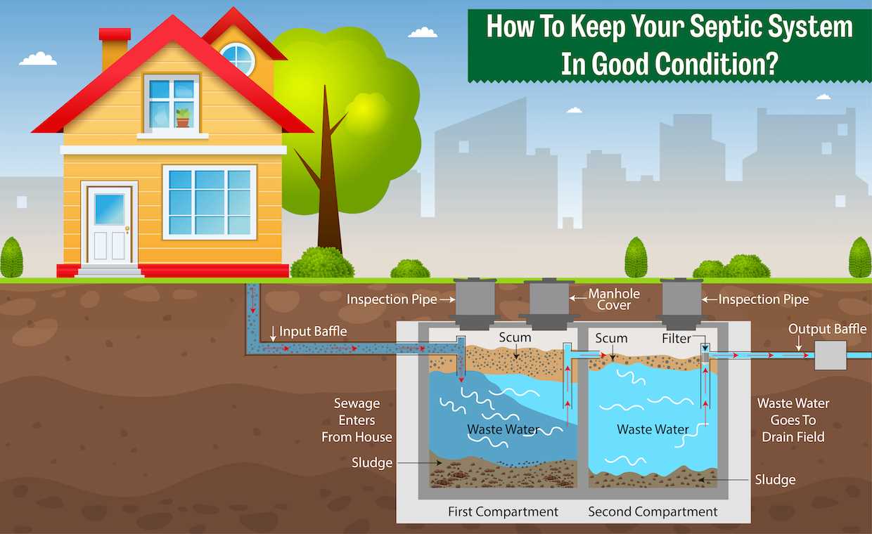 parts of a septic system diagram