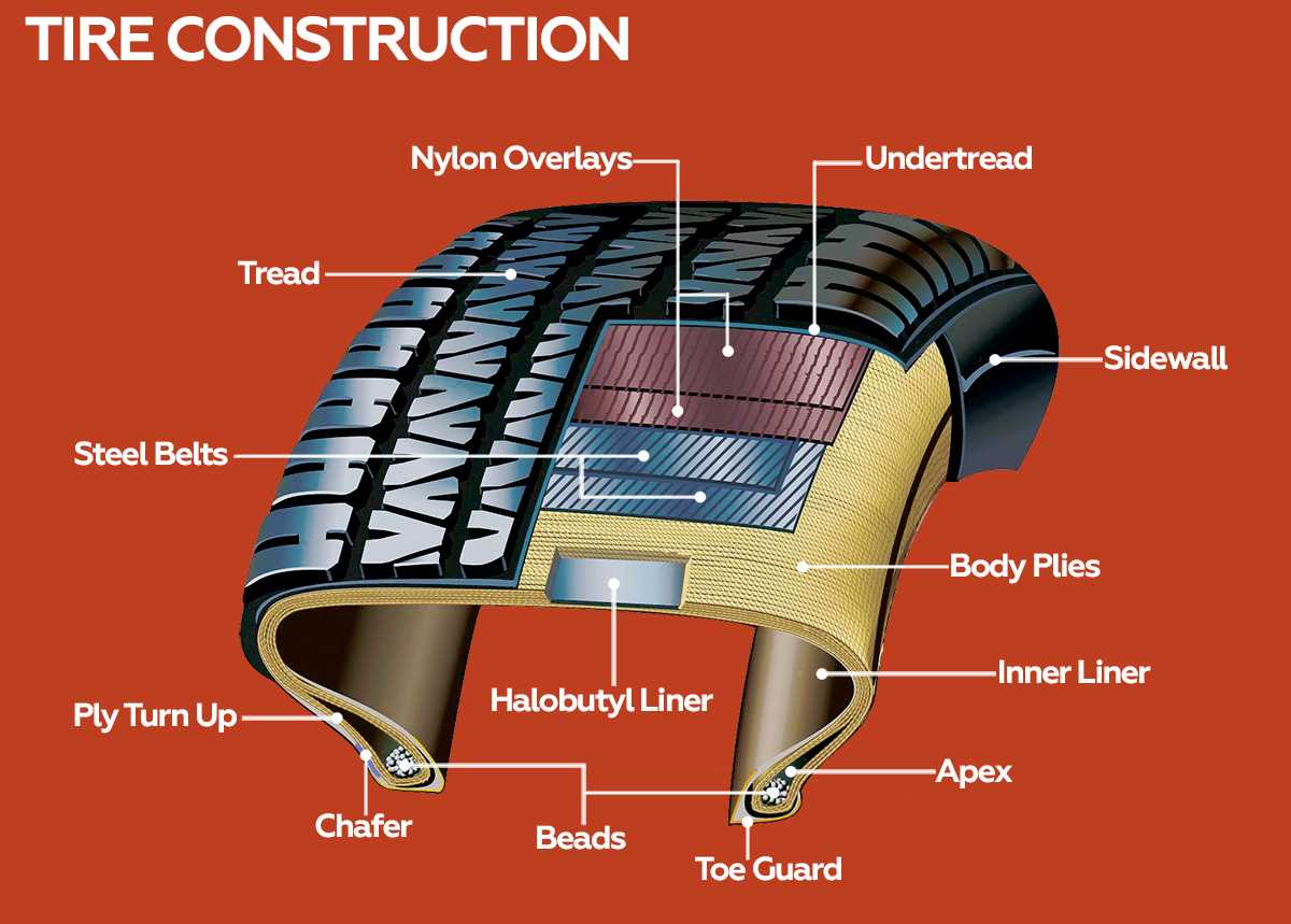 parts of a tire diagram