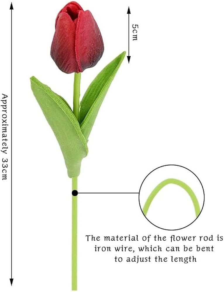 parts of a tulip diagram