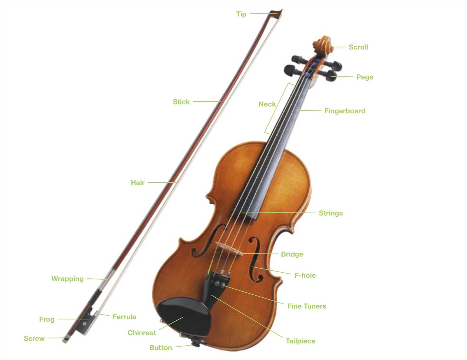 parts of a violin bow diagram