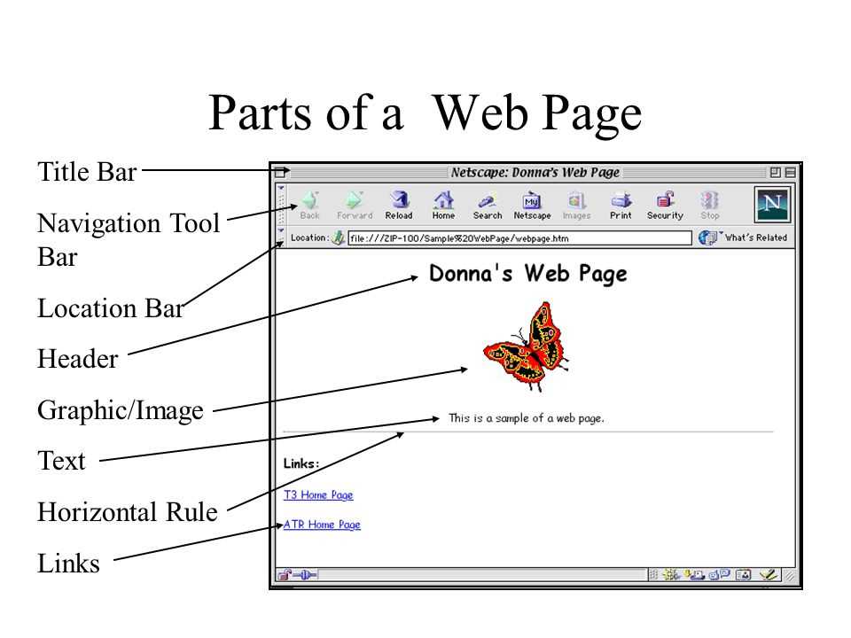 parts of a web page diagram