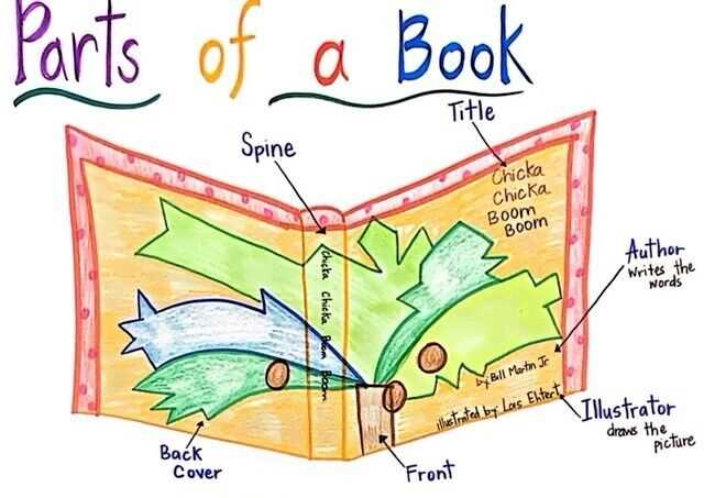 parts of an anchor diagram