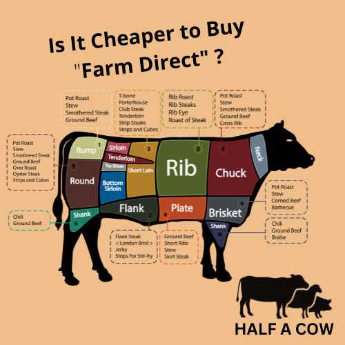 parts of beef diagram