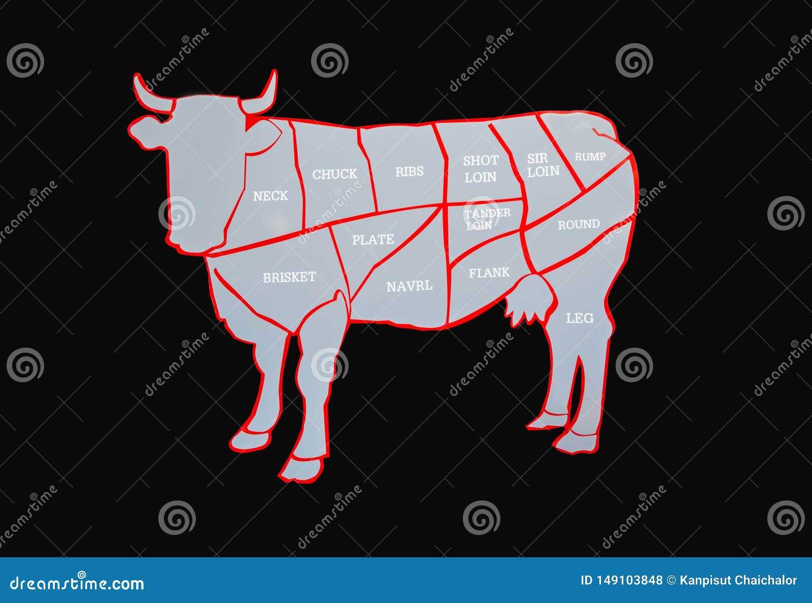 parts of cow diagram