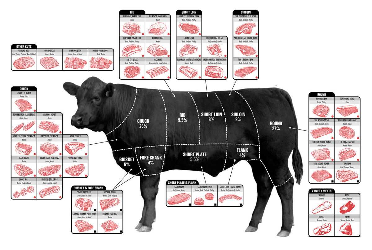 parts of cow diagram