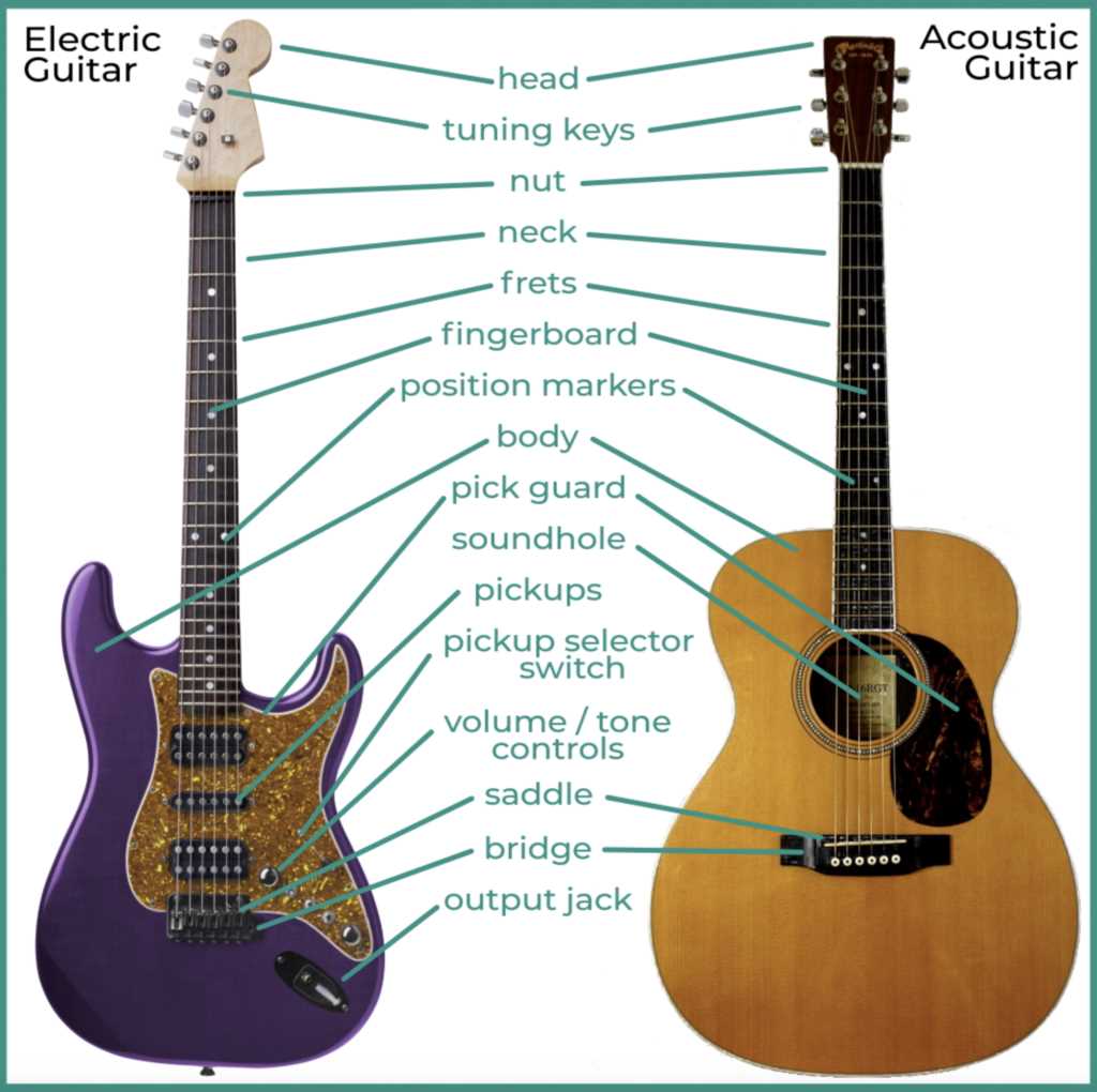 parts of the acoustic guitar diagram