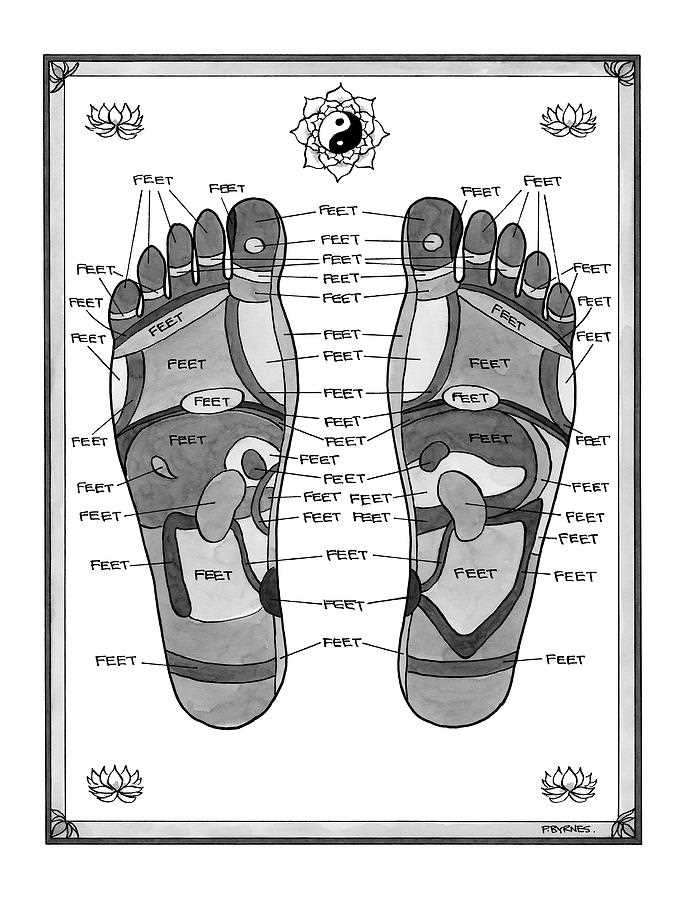 parts of the bottom of the foot diagram