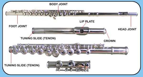 parts of the flute diagram