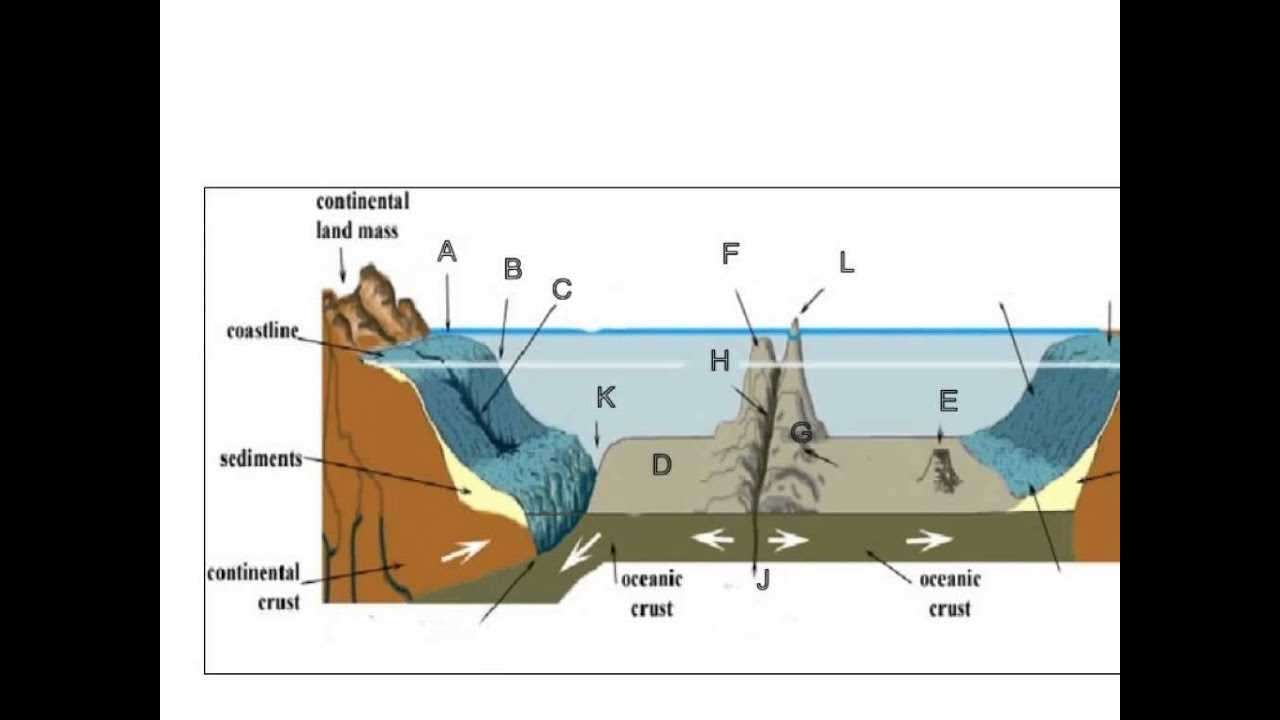 parts of the ocean floor diagram