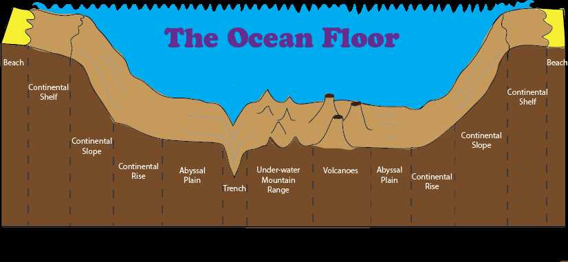 parts of the ocean floor diagram