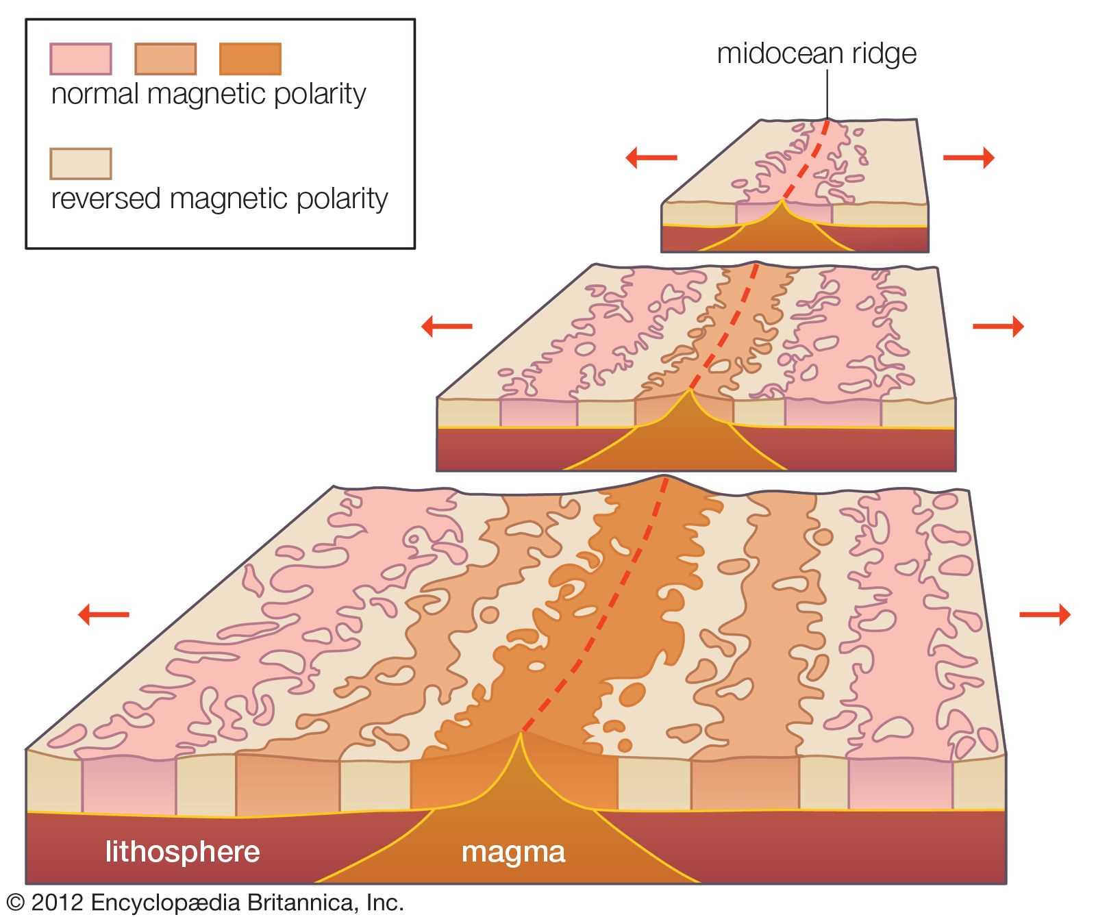 parts of the ocean floor diagram