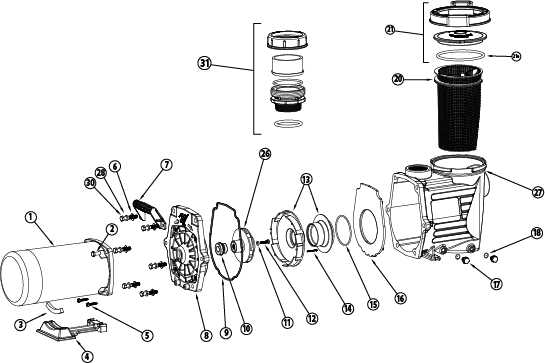 pool motor parts diagram