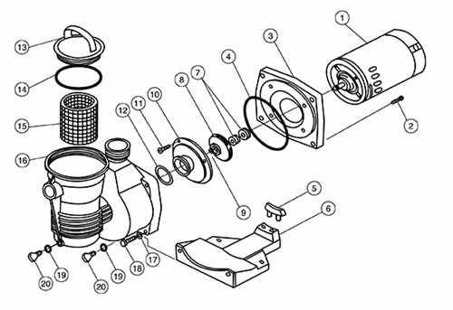 pool pump parts diagram