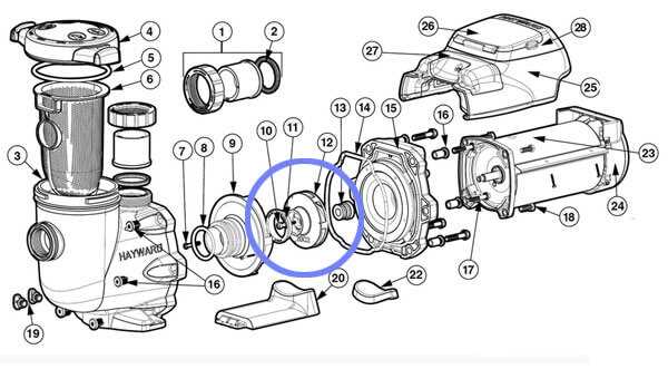 pump motor parts diagram