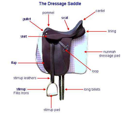 saddle parts diagram