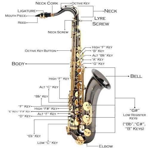 saxophone parts diagram