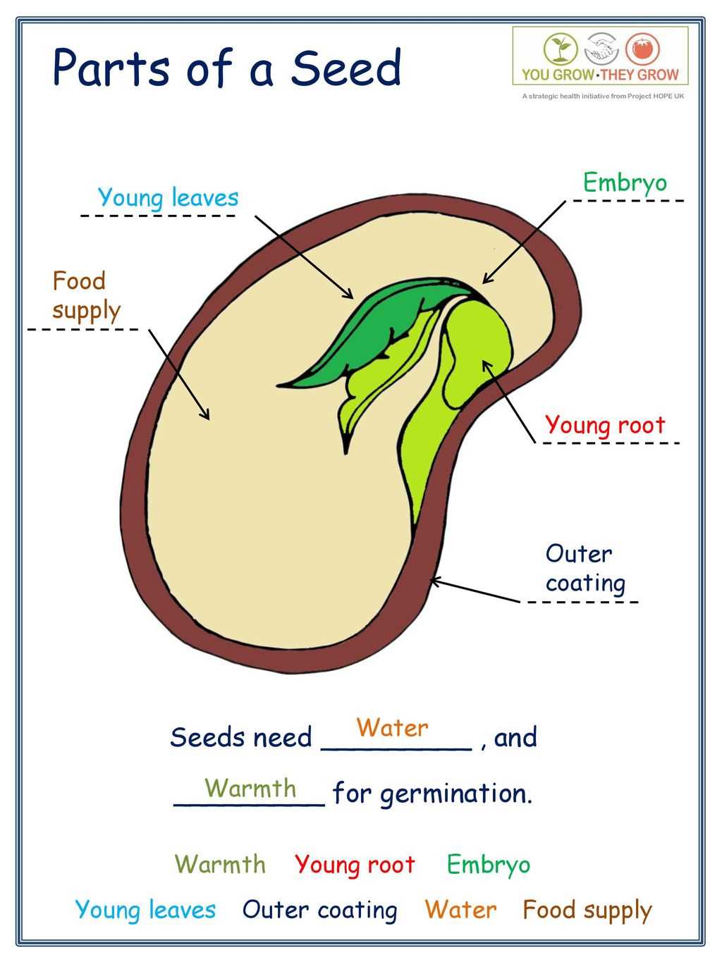 seed parts diagram