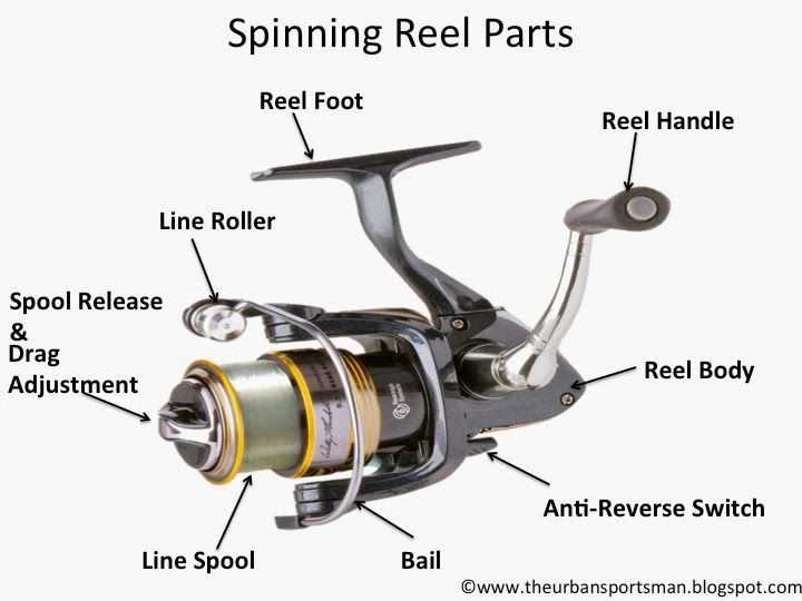 shimano reel parts diagram