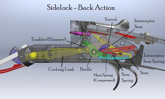 side by side shotgun parts diagram