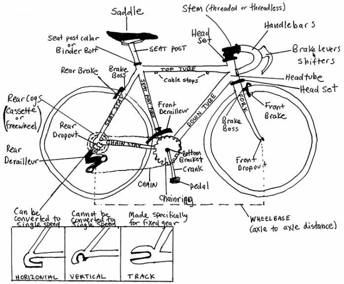 single speed bike parts diagram