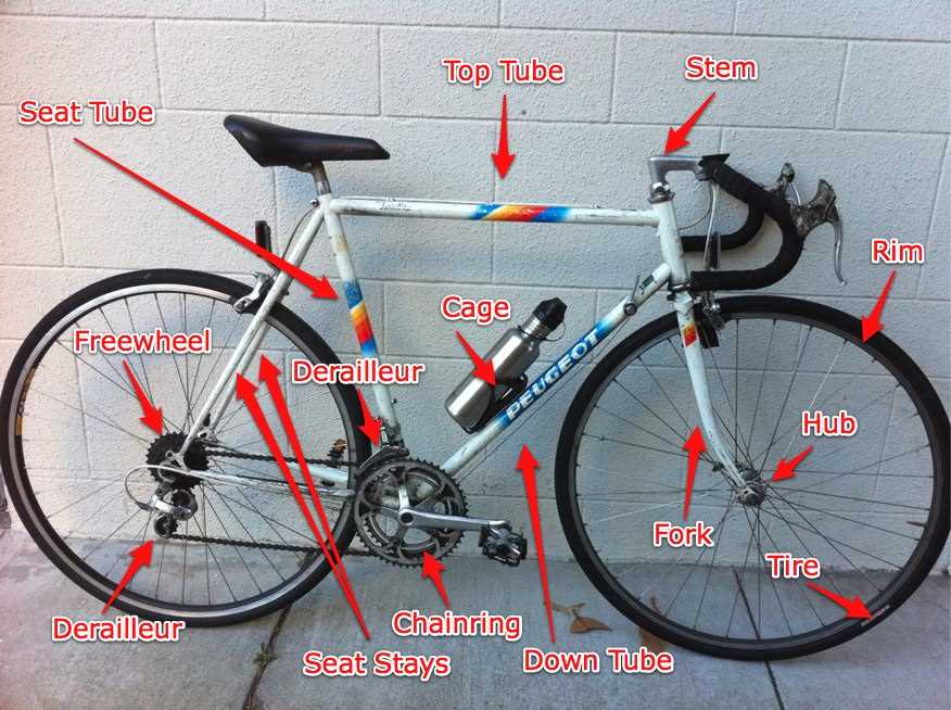 single speed bike parts diagram