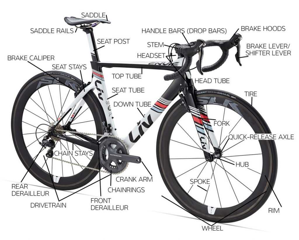 single speed bike parts diagram