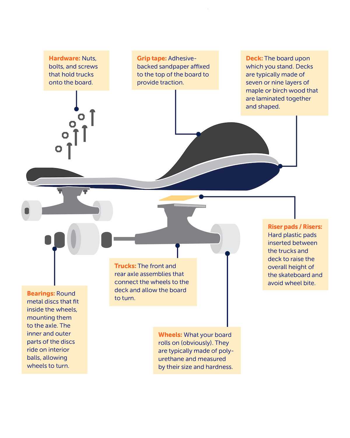 skateboard parts diagram