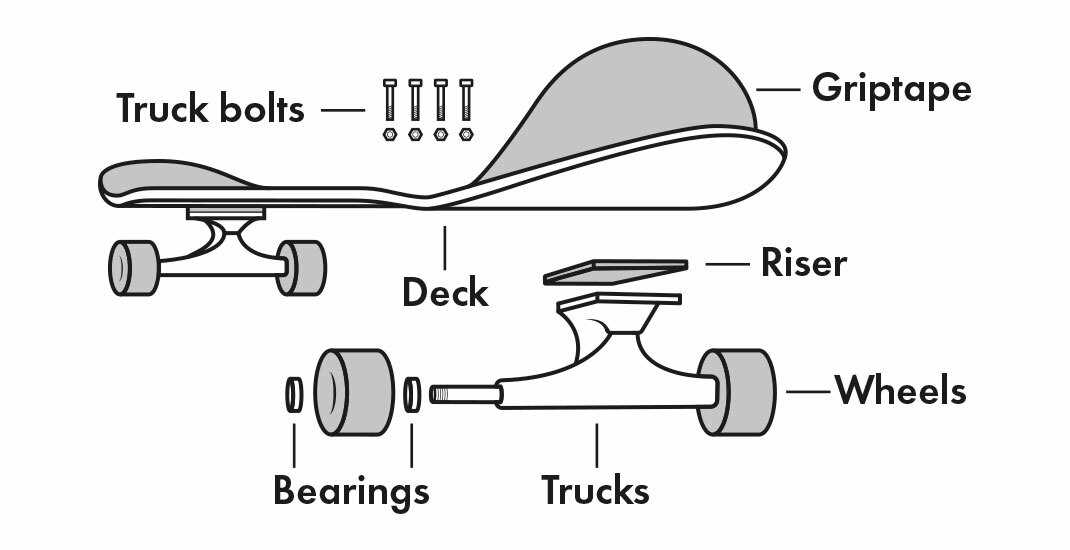 skateboard truck parts diagram