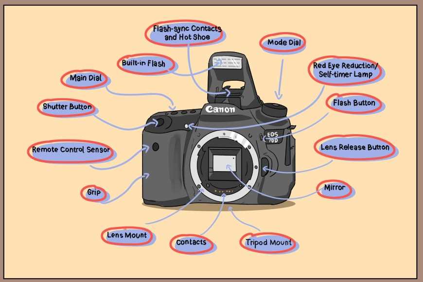 slr camera diagram with parts and functions