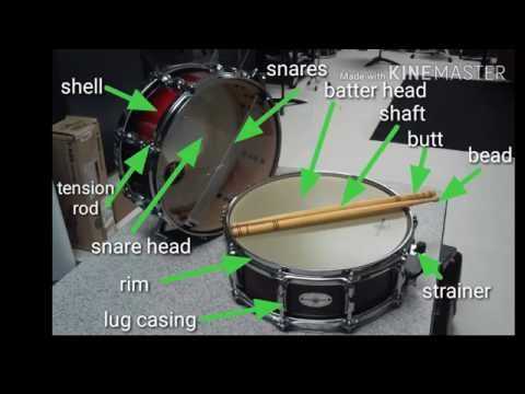 snare drum parts diagram