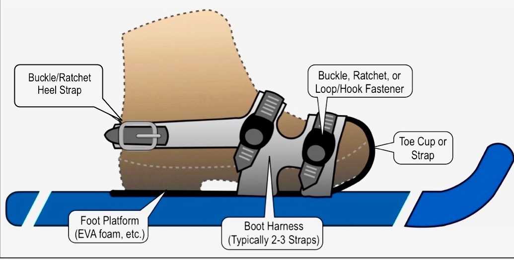 snowshoe parts diagram