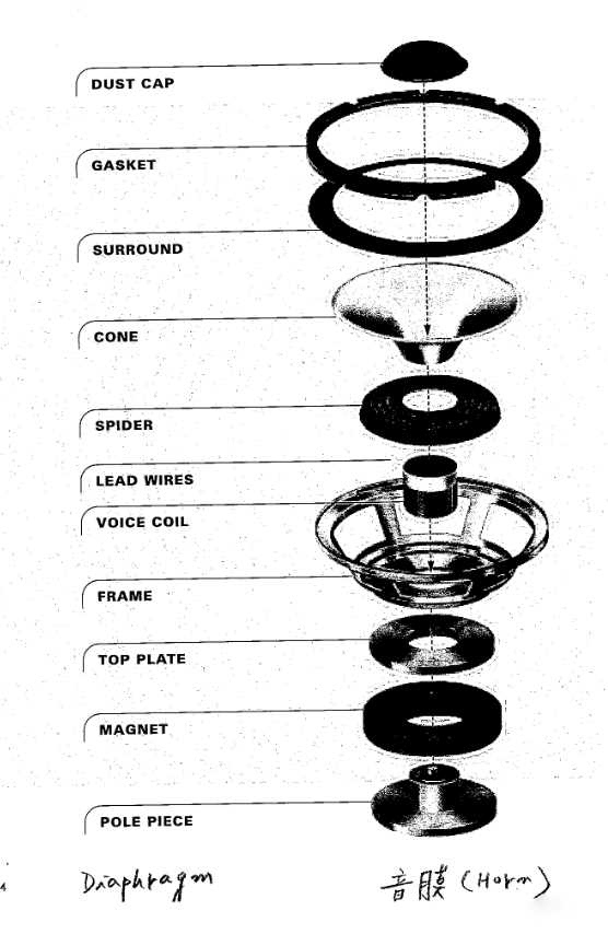 speaker parts diagram