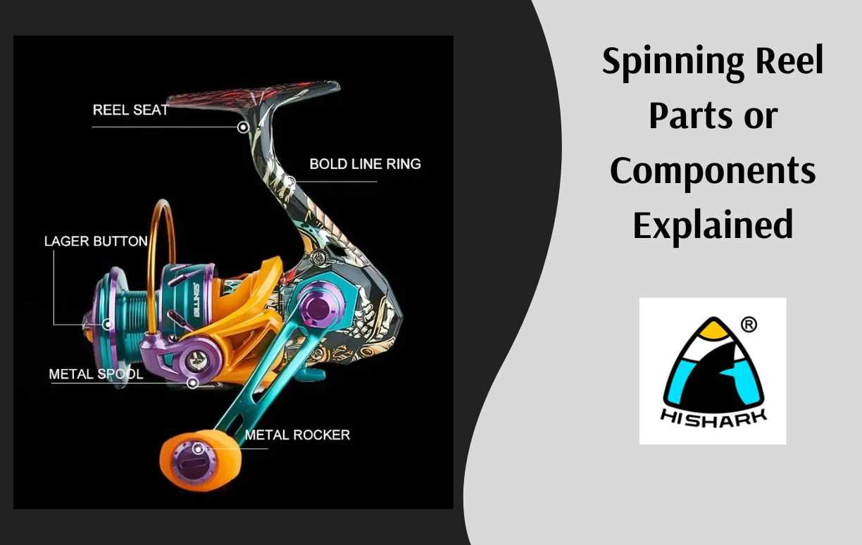 spinning reel parts diagram