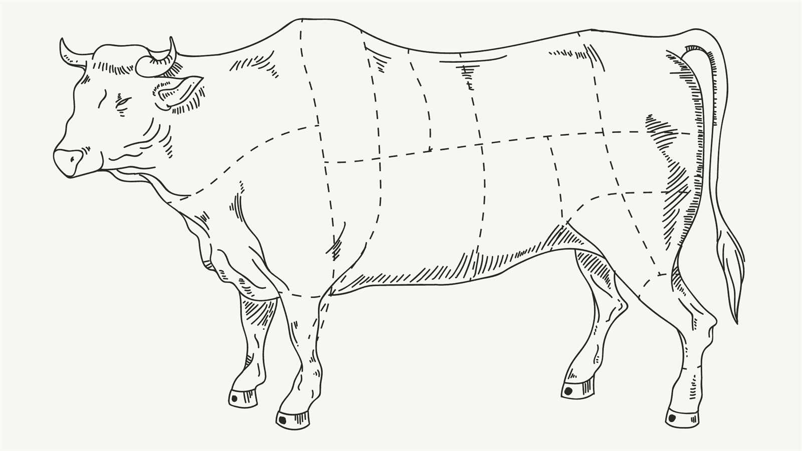 steak parts of cow diagram