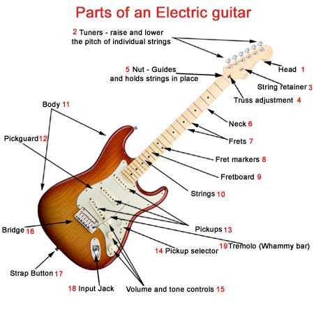 stratocaster parts diagram
