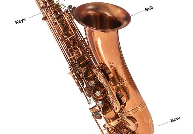 tenor sax parts diagram