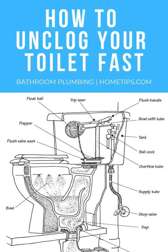 toilet diagram parts