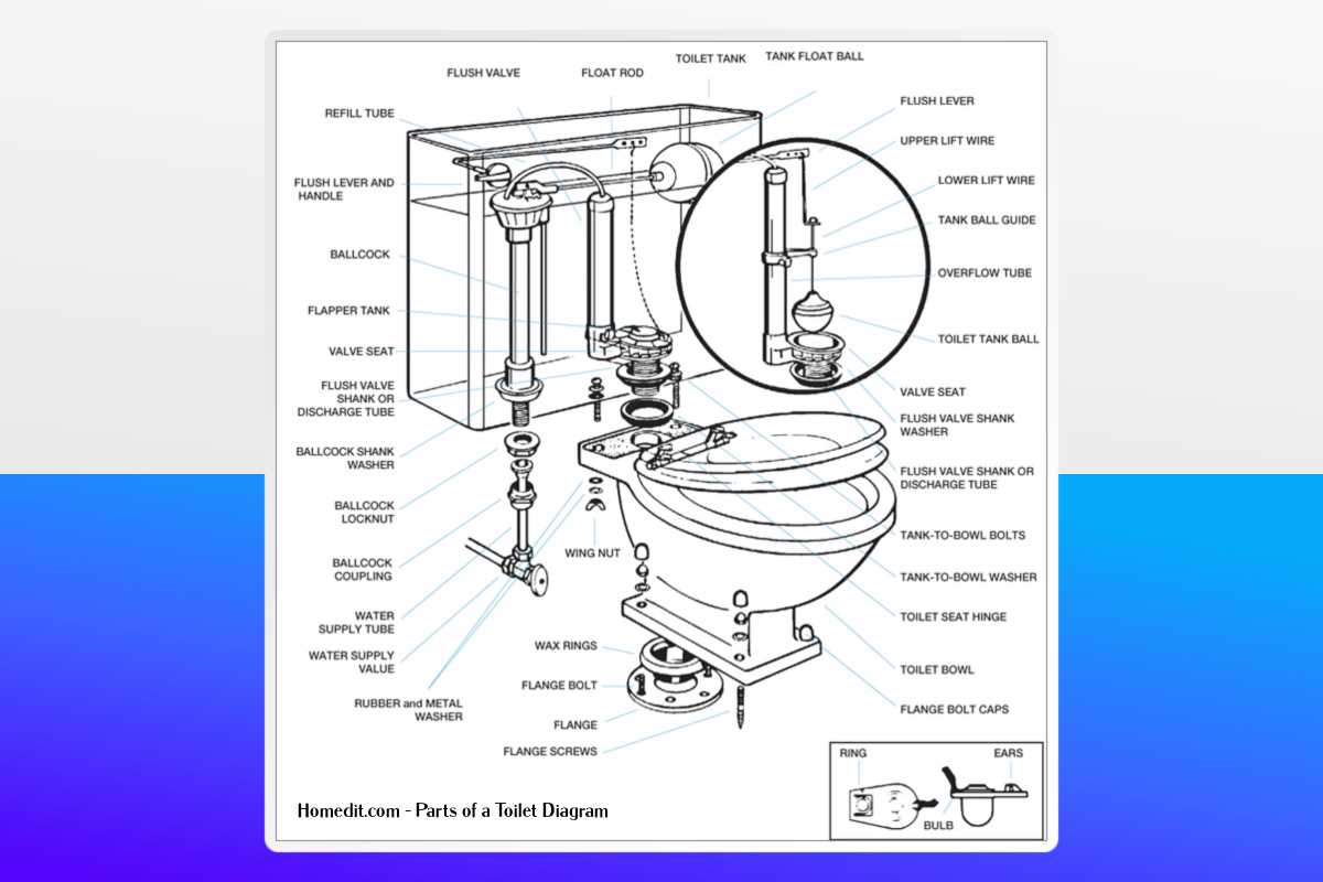 toilet diagram parts