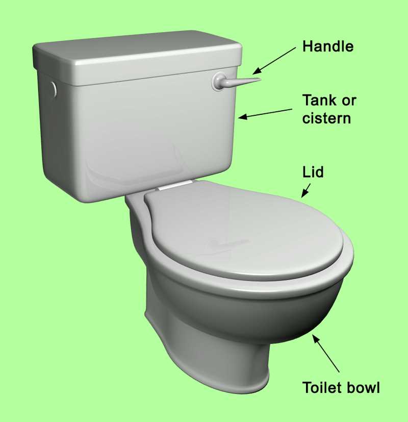 toilet drain parts diagram