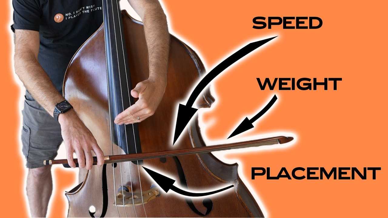 upright bass parts diagram