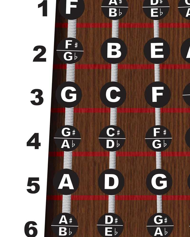 upright bass parts diagram